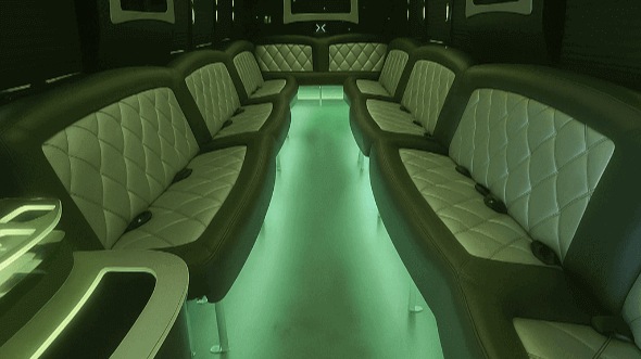 Interior of Billerica Party Bus Company's 20 Passenger Party Bus in Billerica
